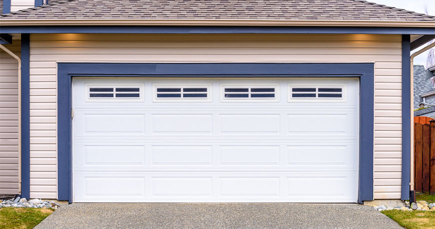 Common Bugs That Invade Garages and How to Prevent Them - Halton Garage Doors